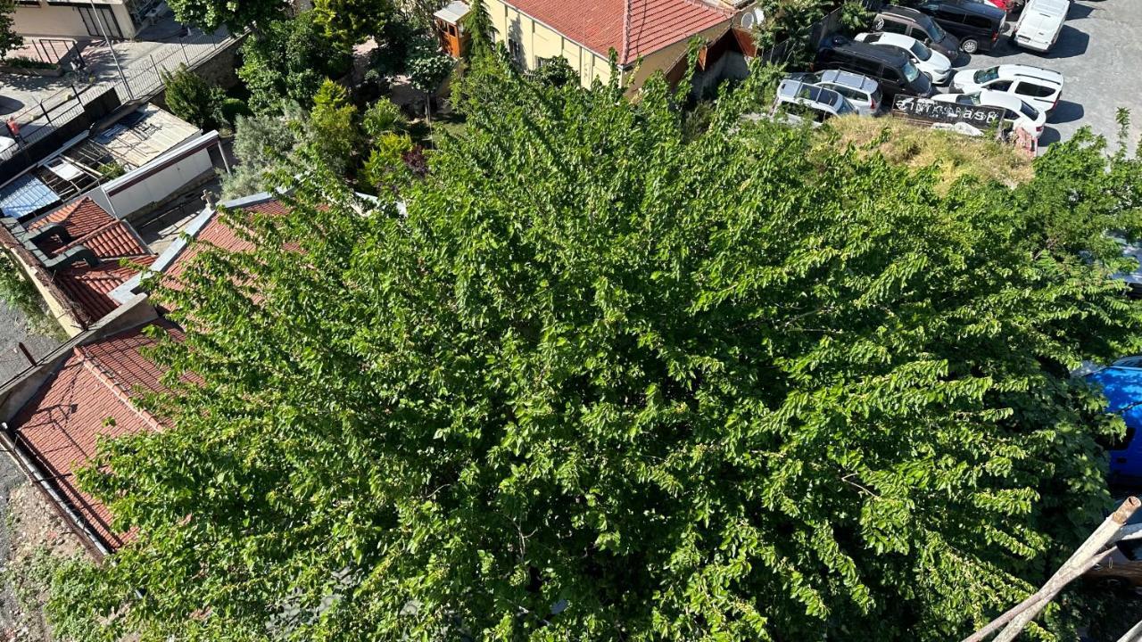 Mar Boutique Apartment Istanbul Exterior photo